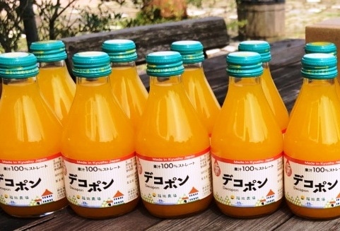 ���ܡ�ʡ������ץǥ��ݥ�ޤ뤷�ܤꥸ�塼��