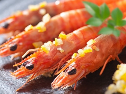 ��ʬ��˭���嫲��פ椺��̣ �ֳ�Ϸ������