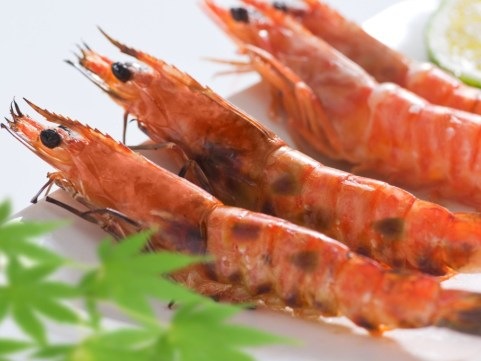 ��ʬ��˭���嫲��פ椺��̣ �ֳ�Ϸ������