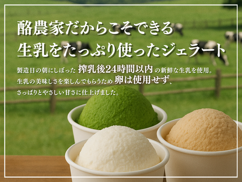 եȤäפꥸ顼STELLA ¥å