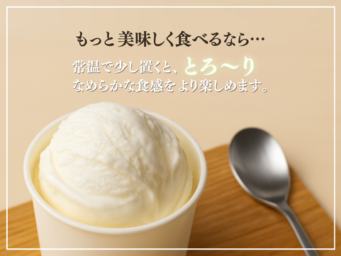 եȤäפꥸ顼STELLA ¥å