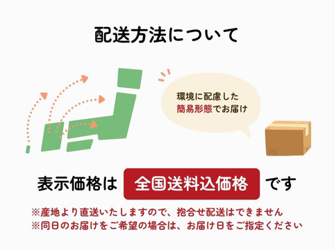 եȤäפꥸ顼STELLA ¥å