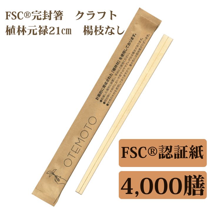九州紙工FSC(R)認証(FSC-C126057)完封箸 4,000膳 クラフト 21cm 植林元禄 割り箸 個包装 楊枝なし FSK-1