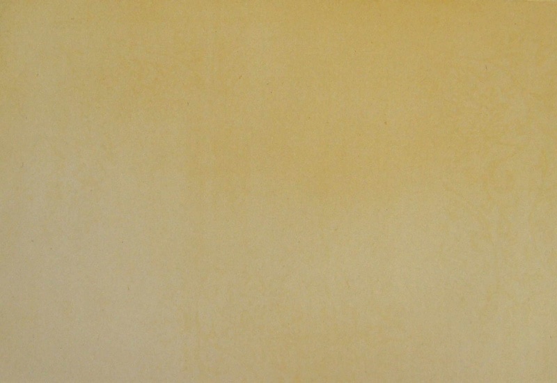 �����ᡡ�޿�����Ⱦ������(25cm������36.5cm�ˡ�100�硡��5����20��