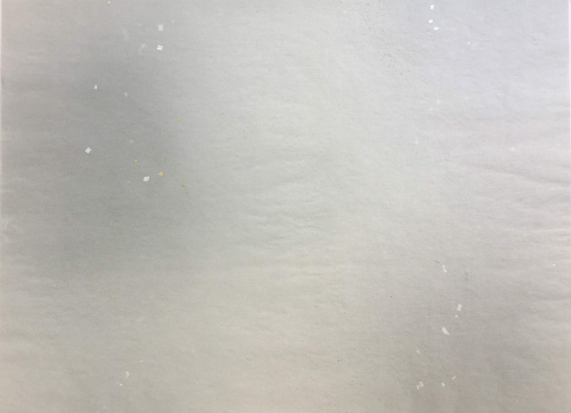 �狼�ʡ�(���졼�ˡ���������(36cm������53cm�ˡ�1�硡ܺ�桡������󺽻ҿ�