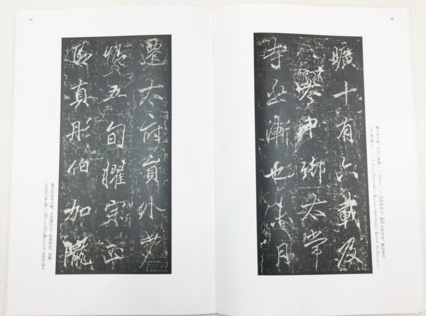 中国人書家　李　新文？ 筆墨は語る─中国歴代法書選