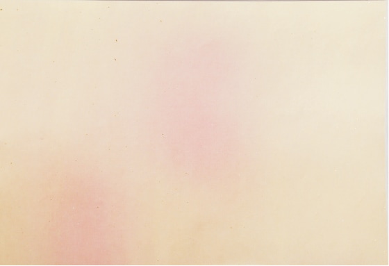 ��Ρ�Ⱦ����(24.5cm������34cm�ˡ�50�硡��5����10��