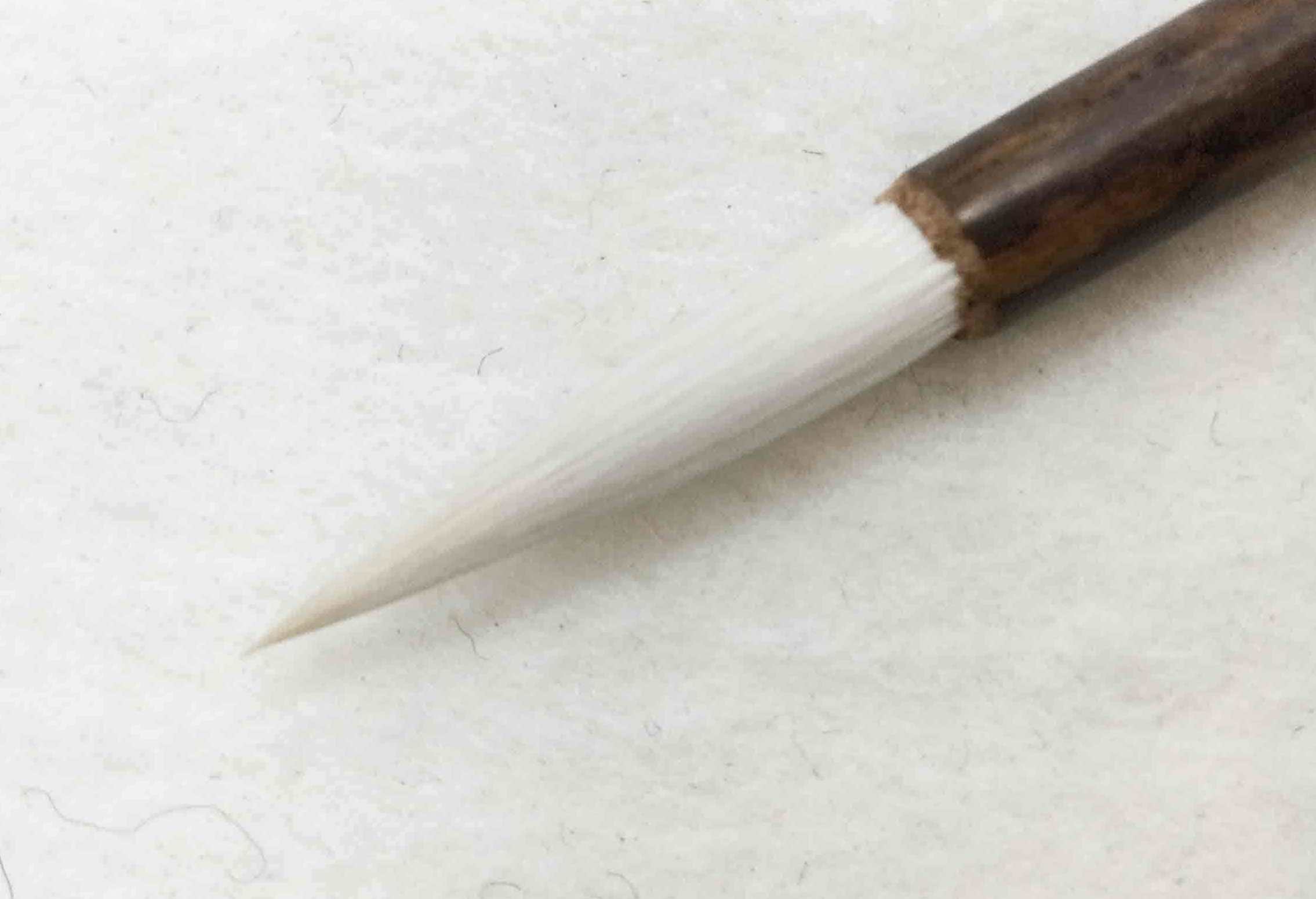 蛟龍得水、爪峰長頴、小楷 蛟龍得水、爪峰長頴、小楷 蛟龍得水、爪峰長頴、小楷