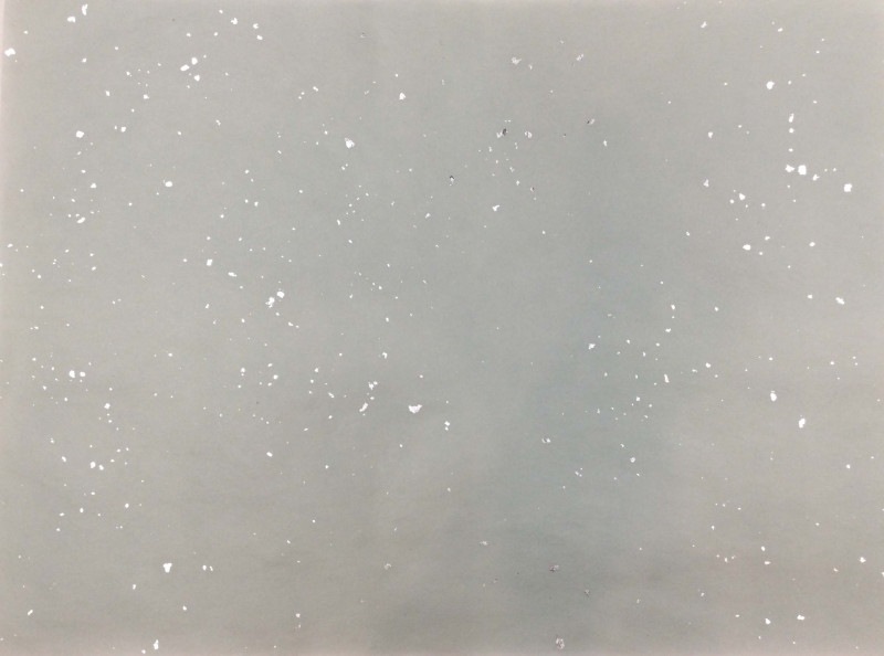 �������ս���(���ˡ�40�硡(26.6��m������36.3cm)