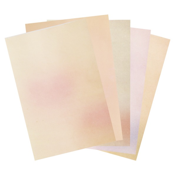 �Ҥ椫��Ⱦ���桡(25cm �� 36.5cm�ˡ�50�硡��5����10��