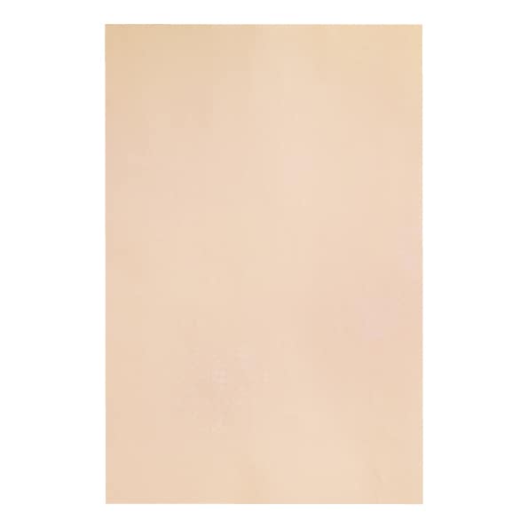 �Ҥ椫��Ⱦ���桡(25cm �� 36.5cm�ˡ�50�硡��5����10��