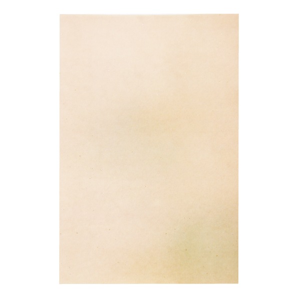 �Ҥ椫��Ⱦ���桡(25cm �� 36.5cm�ˡ�50�硡��5����10��