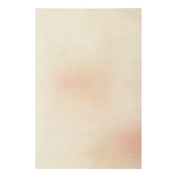 �Ҥ椫��Ⱦ���桡(25cm �� 36.5cm�ˡ�50�硡��5����10��