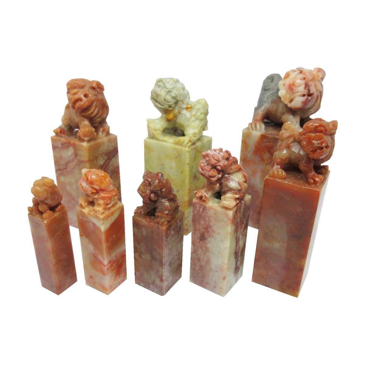 �����С������л���ա�(1.0cm �� 5.0cm)