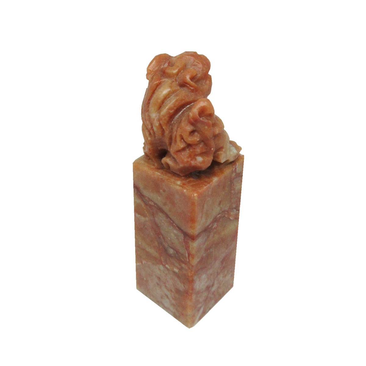 �����С������л���ա�(1.2cm �� 5.0cm)