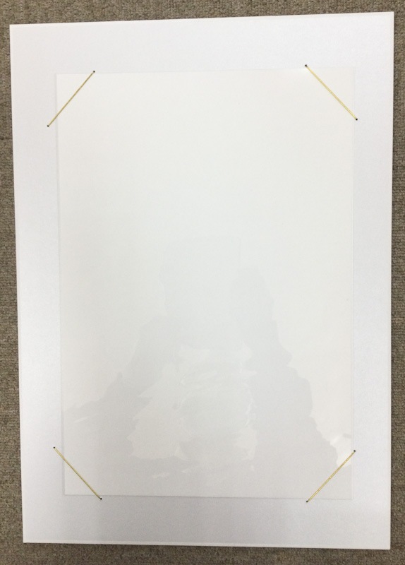 Ⱦ��ݡ��ѡ��롡�ڥ��꡼��/���