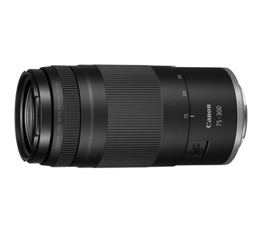 ふぁみれす。♪フォロー割引適応♪Canon EF 75-300mm にこ3にこ様専用 フォロー割適応価格♪Canon EF 75-300mm