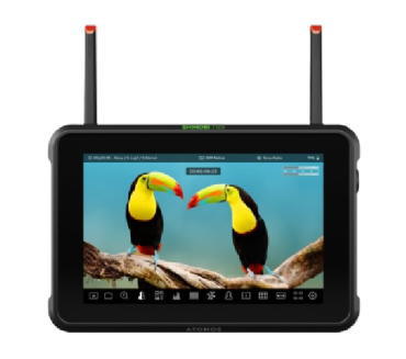 ATOMOS Shinobi 7 RX(ATOMSHBRX1) SDI/HDMI対応モニター｜映像機材の