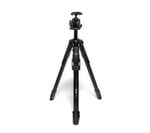 ��7����ȯ��ͽ���Manfrotto ONE Photo �ܡ�����業�å� (���֡�MKONEPA-BHQ6T)