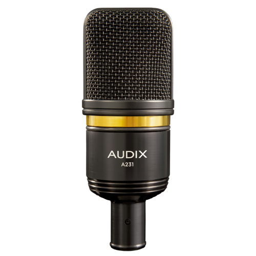 �ڤ������ʡ�AUDIX A231