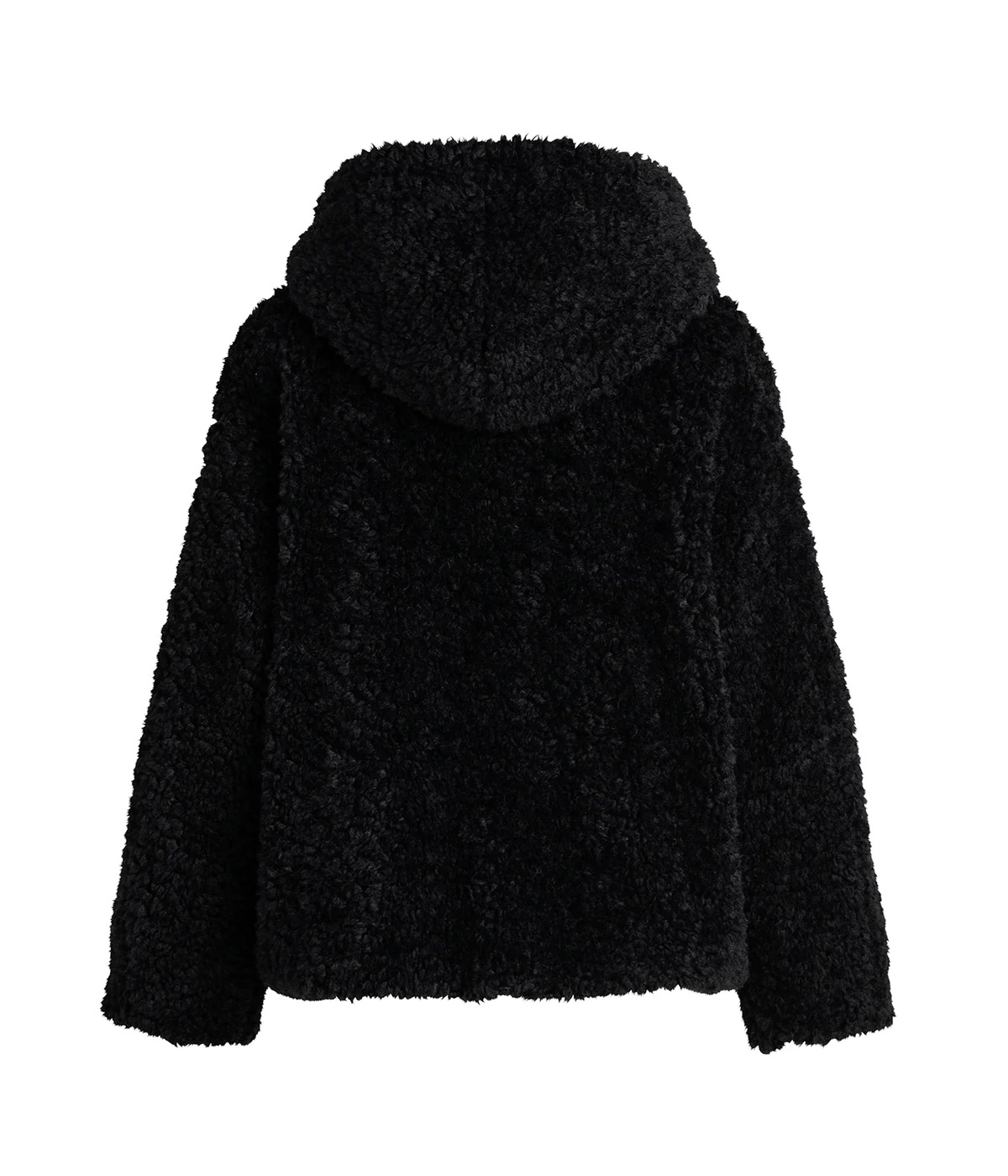 2_000000005575.jpg?1760339949