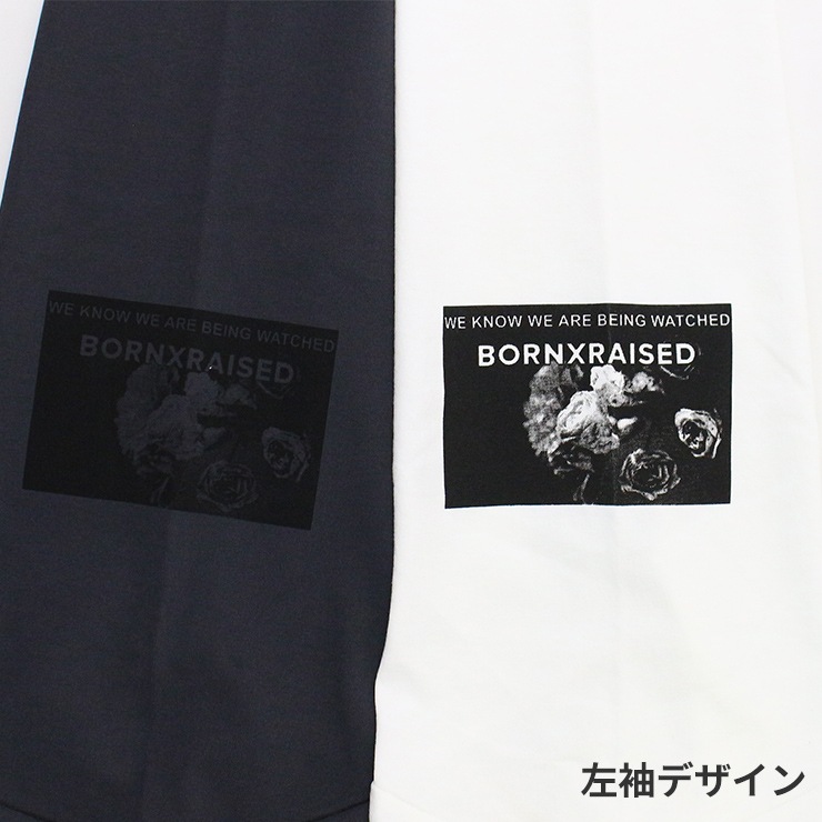 K-collection 쥯 ĹµT 󥰥꡼ ֥å ۥ磻  եåȥͥ  ݡ  襬 