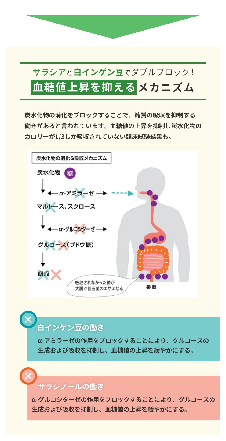 �ڥ��饷�����򤤤󤲤�Ʀ�����ȥ����۹祵�ץ���ȡ�BLOCKER EX �֥��å����������å��� 3�ܥ��å�[��ǽ��ɽ������]���� ��� ú�岽ʪ STRONG BLOCKER2000 ���ȥ��� �֥��å��� ��˥塼���� Ĳ��Ķ� ��¡���� �������� ���ץ� �������å�