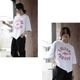 K-collection  T����� Ⱦµ �����å׾� �������ȥ꡼ ���� ����ե��å� �ڹ� ��ǥ����� ������������ �ե��åȥͥ� ���� ���ݡ��� ���� �襬 ������ ���㥳���� �ۥ磻�� �֥롼