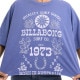 BILLABONG ������ �ӥ�ܥ� T����� Ⱦµ ���� ®�� ���� UV���å� UPF50+ �桼���ɲù� �ʺ� ŷ�� �롼�� ��ä��� ��ǥ����� ������������ �ե��åȥͥ� ���� ���ݡ��� ���� �襬 ������ ���������졼 �֥롼 BG01C209
