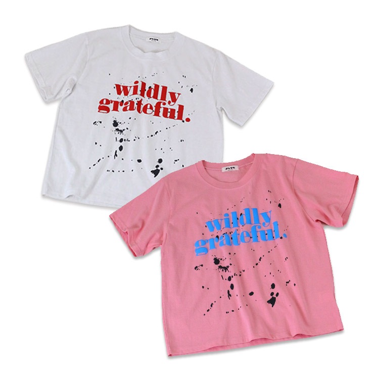 K-collection ȾµT����� ���� �ץ��� ��ǥ����� ��˥��å��� ������������ �ե��åȥͥ� ���� ���ݡ��� ���� �襬 ������ �ۥ磻�� �ԥ� �ڹ�