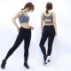 ȥå Brasil Sul ֥饸륽 ١å 쥮 BLACK OLIVE PURPLE ONE