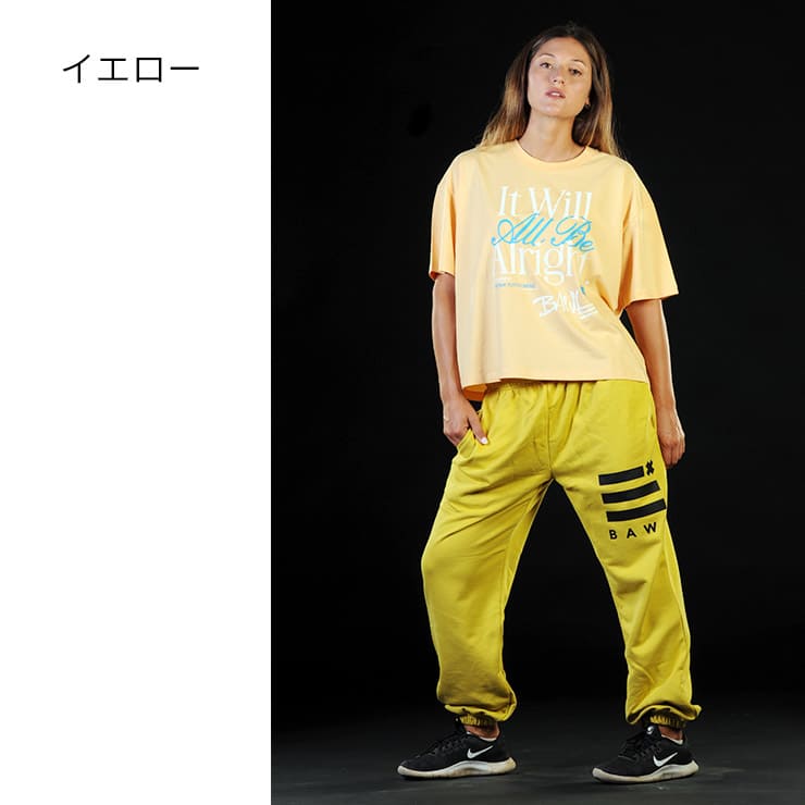 BAWL ܥ  T Ⱦµ  ǥ  եåȥͥ  ݡ  襬  ֥å ֥롼 