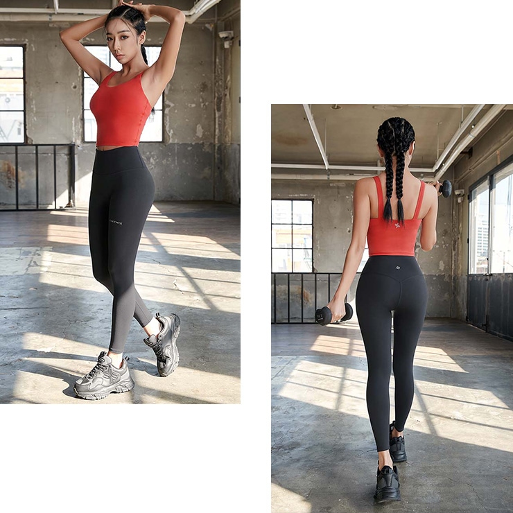 XEXYMIX ���������ߥå��� �����ͥ��㡼360N 9ʬ��쥮�� �֥�å� ���졼 ���꡼�� ���꡼�� �ԥ�