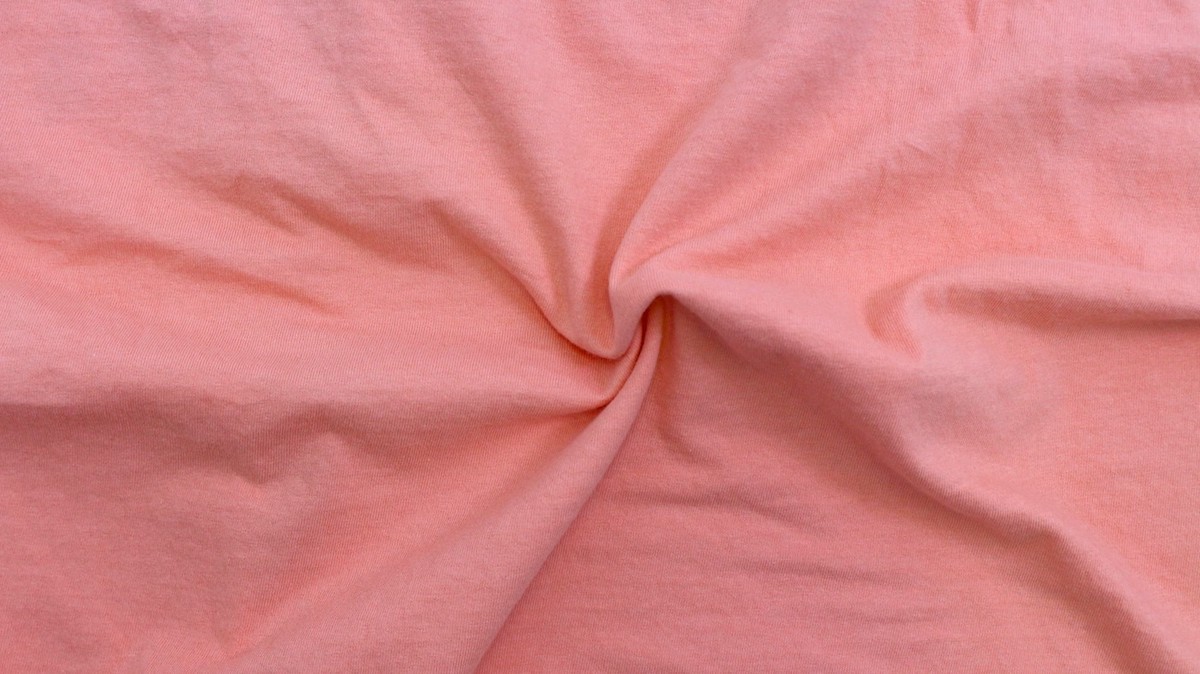 �����ȥ�å� FREE AS A BIRD �ե꡼�������С��� ����ե��å� T����� CORAL S/M������ L/XL������