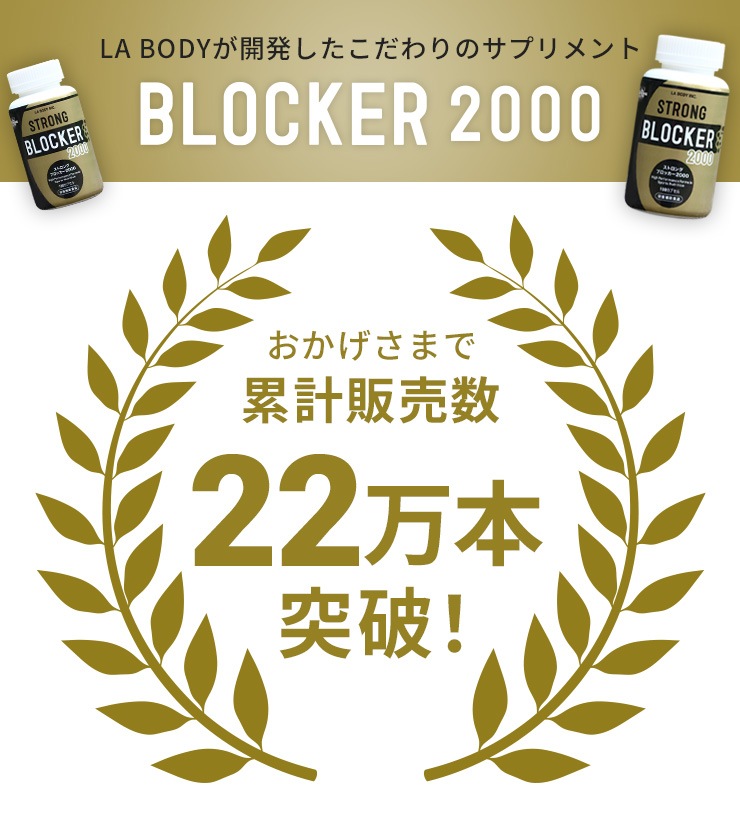 10%OFF Ϥ ڥ饷򤤤󤲤Ʀȥ۹祵ץȡBLOCKER EX ֥åå[ǽɽ]  ú岽ʪ STRONG BLOCKER2000 ȥ ֥å ˥塼 ĲĶ ¡  ץ å