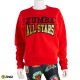 アウトレット ZUMBA ズンバ 正規品 ALL STARTS メタリックロゴ クルーネック スウェット RED XSサイズ Sサイズ|ZUMBAセール