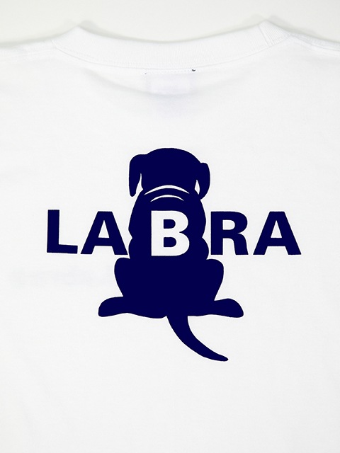 20_000000000244.jpg?1687348184