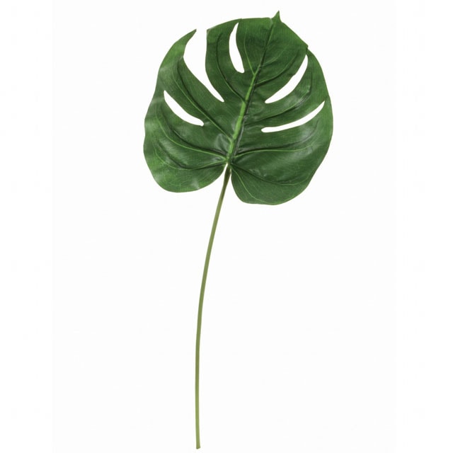 モンステラ M（東京堂／FG001612, FG1612）【アーティフィシャル