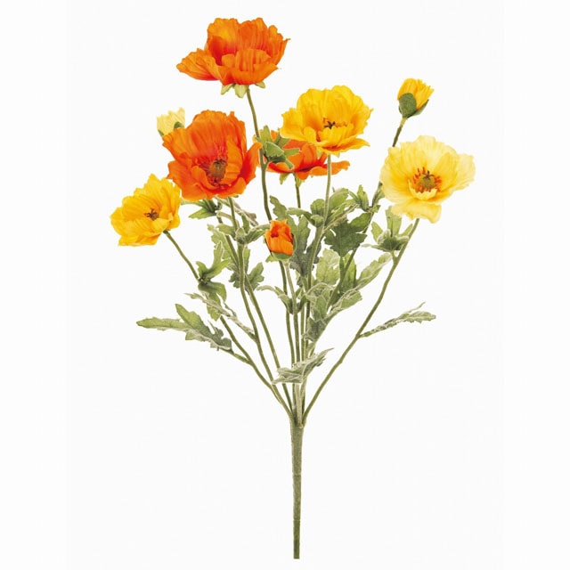 新品 ポーリッシュポタリー お花畑 だるまプレート フリーカップ