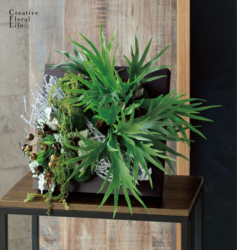 ビカクシダ　dk9 ビカクシダ（東京堂／FG001610, FG1610）【アーティフィシャル