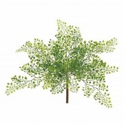 �������󥿥�֥å�������Ʋ��FG009307, FG9307�ˡڥ����ƥ��ե������ե��ʹ��¤�֡ˡ�