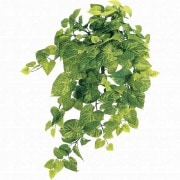 �饤��ݥȥ��꡼�եХ�������Ʋ��FG009967, FG9967�ˡڥ����ƥ��ե������ե��ʹ��¤�֡ˡ�