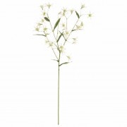 󥰥եۥ磻ȡƲFM003222-001, FM3222ˡڥƥեեʹ¤֡ˡ