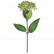 ӥСʥƥʥԥå꡼⡼֡ƲFM004851-042, FM4851ˡڥƥեեʹ¤֡ˡ