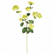 �ꥢ��֥ץ쥦�ࡡ�饤������Ʋ��FM006468-023, FM6468�ˡڥ����ƥ��ե������ե��ʹ��¤�֡ˡ�