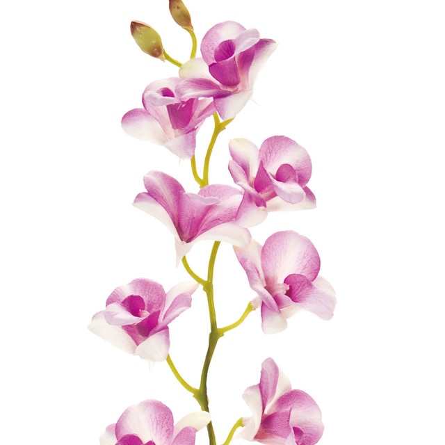 ��������������󥸡������ȥ쥢�ȥ���ӥ��塼��Υȡ��륢��󥸡ڥ����ƥ��ե������ե��ʹ��¤�֡˥���󥸡�