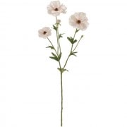 奯ʥ󥭥饹꡼ԥ󥯡ƲFM004119-048, FM4119ˡڥƥեեʹ¤֡ˡ