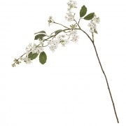 Ρ֥ӥСʥࡡۥ磻ȡƲFM004033-001, FM4033ˡڥƥեեʹ¤֡ˡ