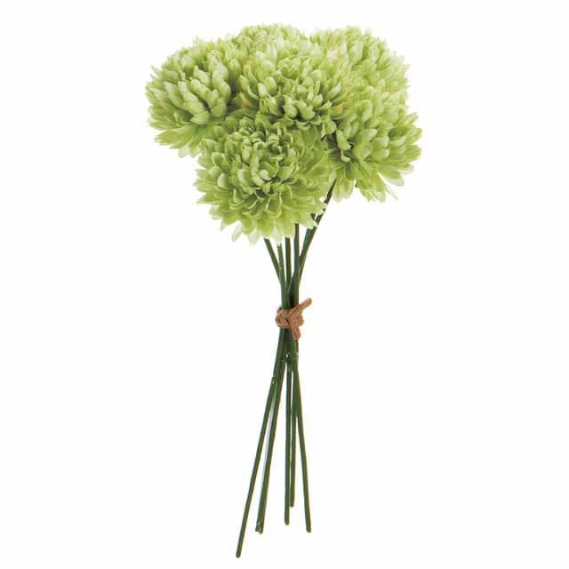 ベルエマムピック セージグリーン（東京堂／FM000501-123, FM501