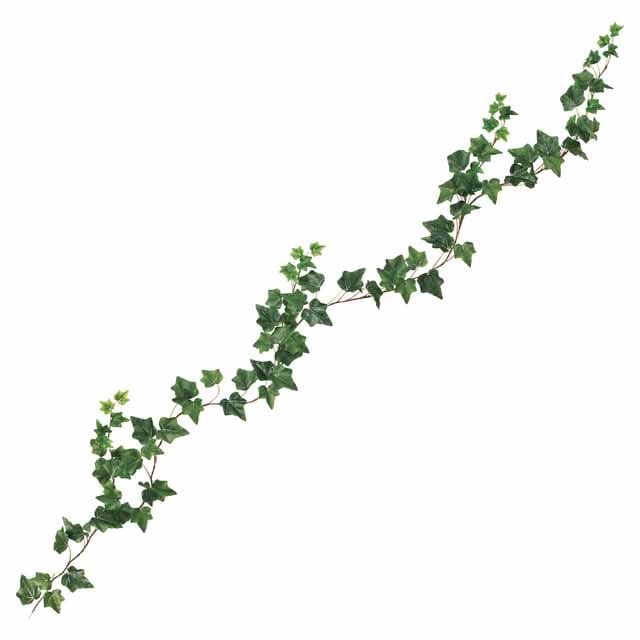 000000002609_VO26NJB.jpg